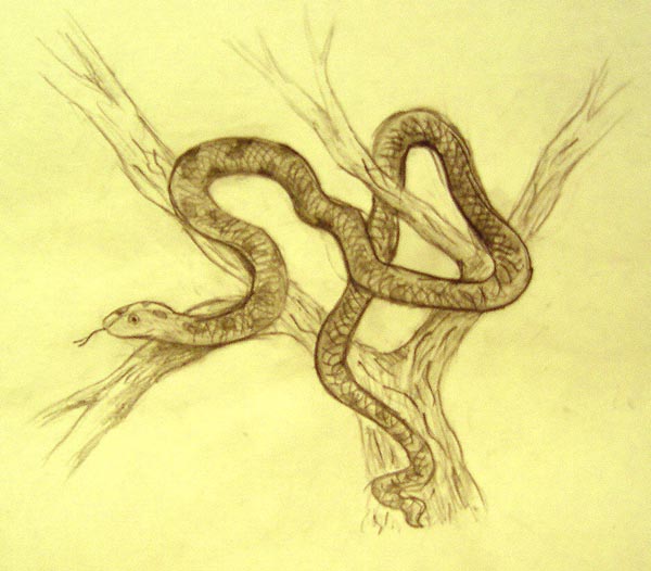 Snake