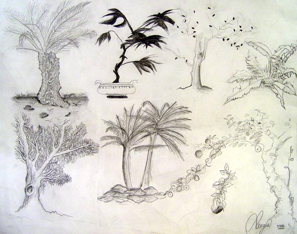 Trees