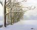 Landscape_3
