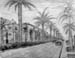 Perspective_2