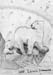 Polar_bear