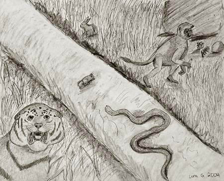 Animals