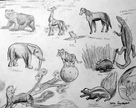 Animals_1