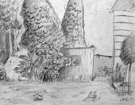 Backyard