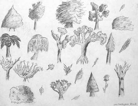 Sketches_(trees)