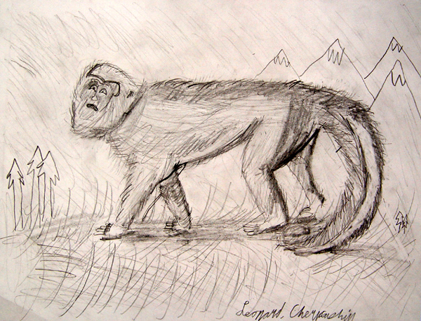 Monkey