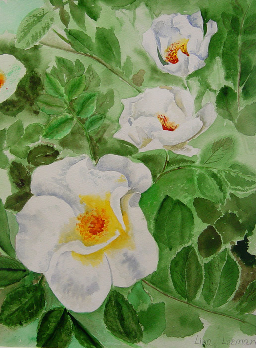 Flowers_7