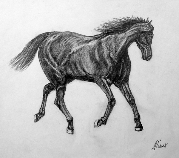 Horse