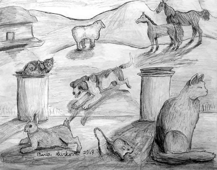 Animals_2