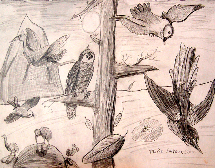 Birds