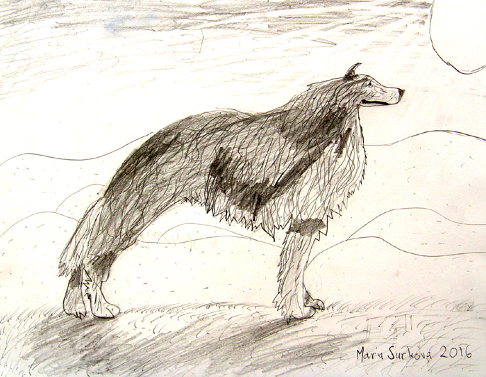 Dog