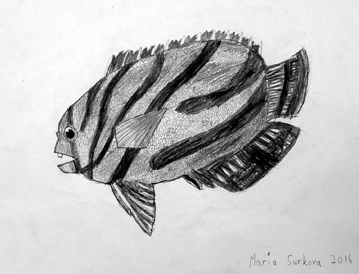 Fish