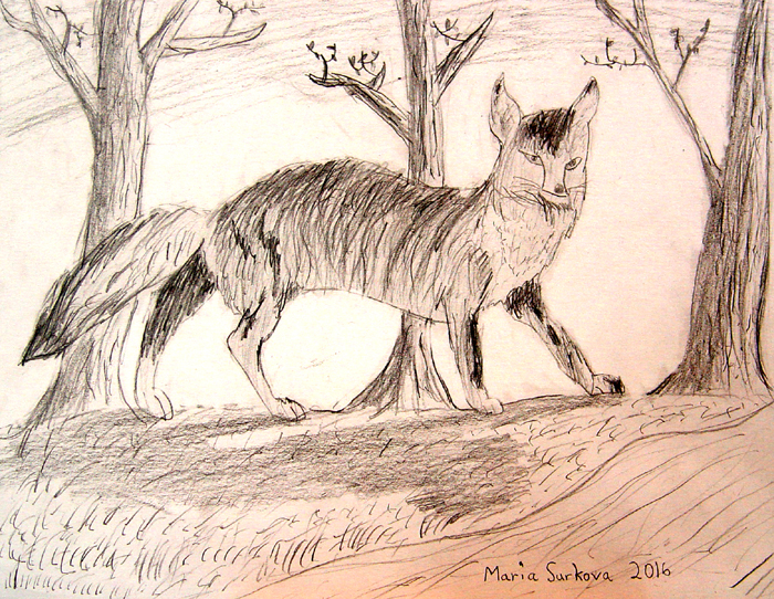 Fox
