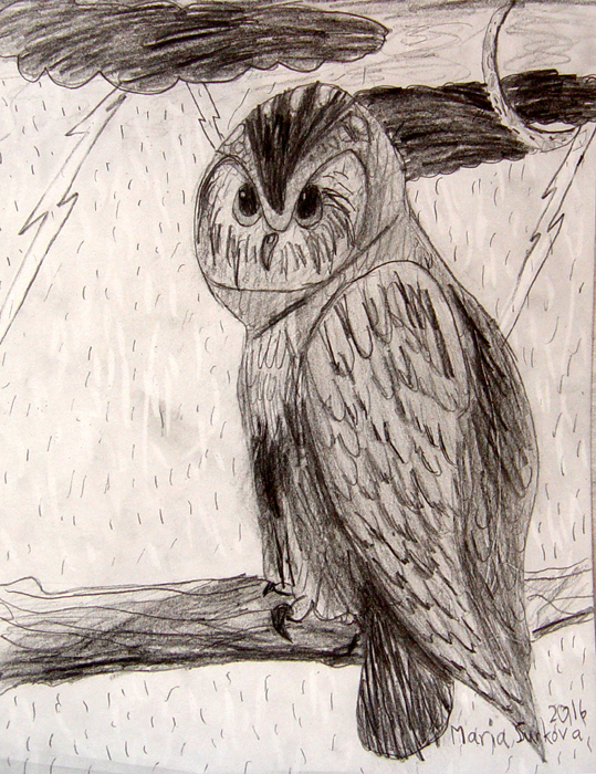 Owl