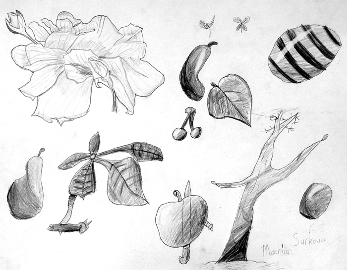 Sketches