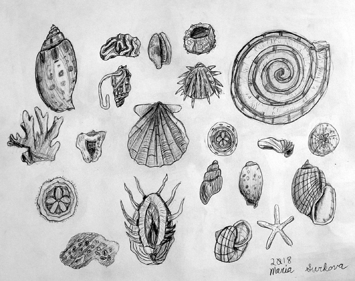 Sketches_6