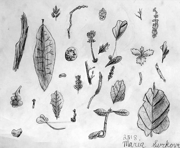 Sketches_7