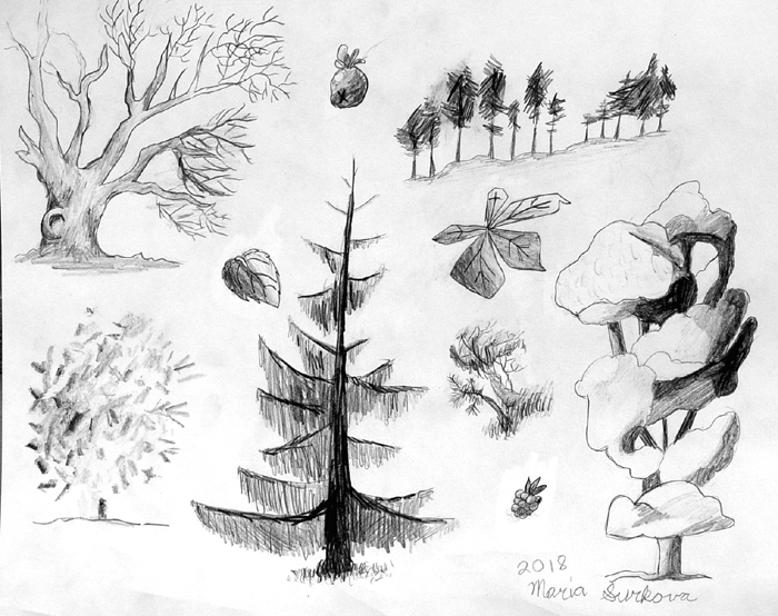 Sketches_8