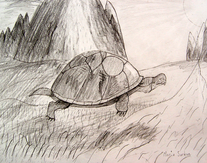 Turtle