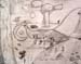 Landscape_2
