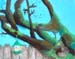 Plein-air_2018