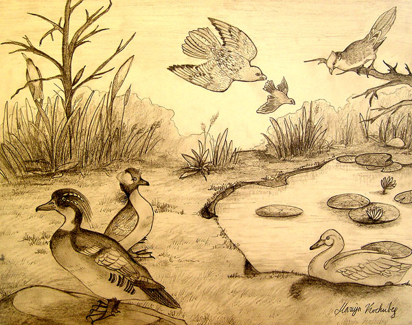 Birds