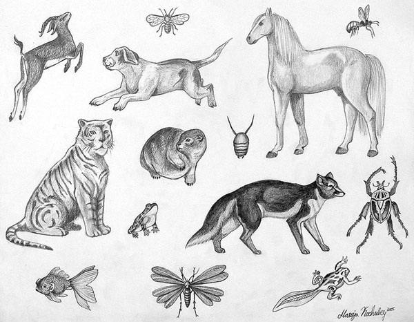 Sketches_1