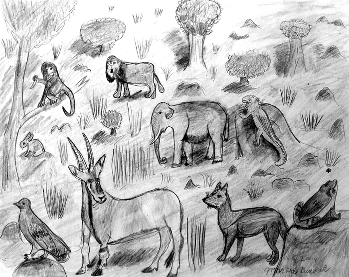 Animals