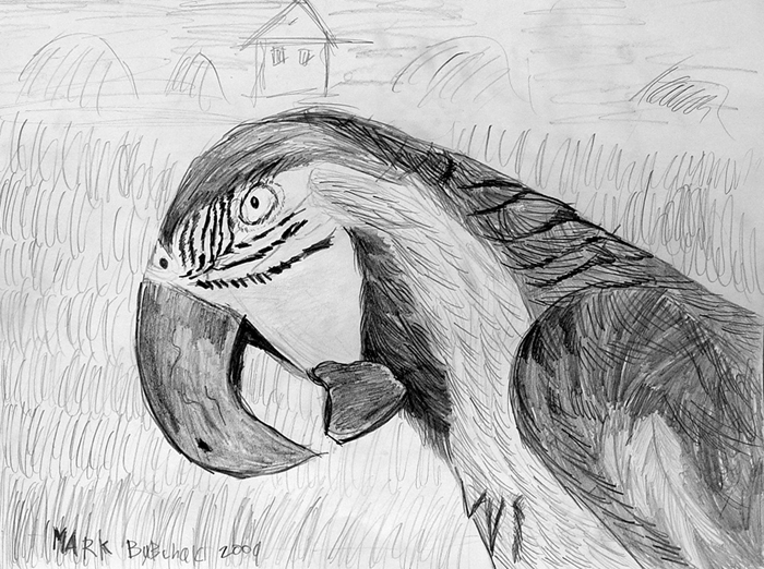 Bird-4