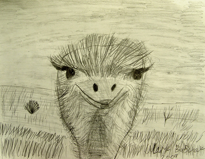 Bird-5