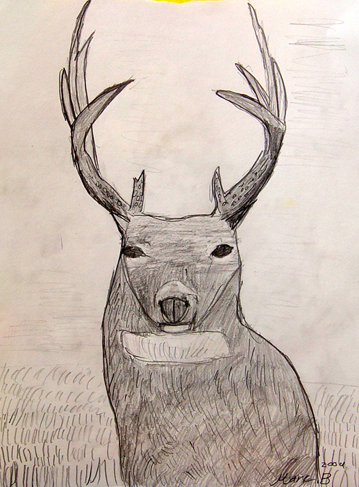 Deer
