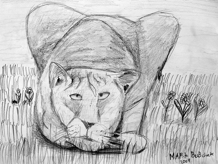 Lion