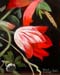Still-life_2_(study)