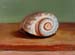 Still-life_3_(study)_fragment
