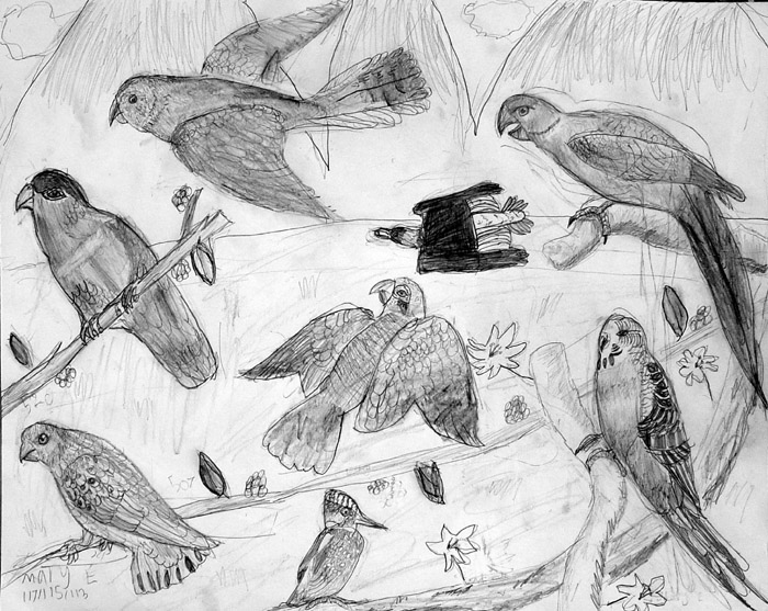 Birds