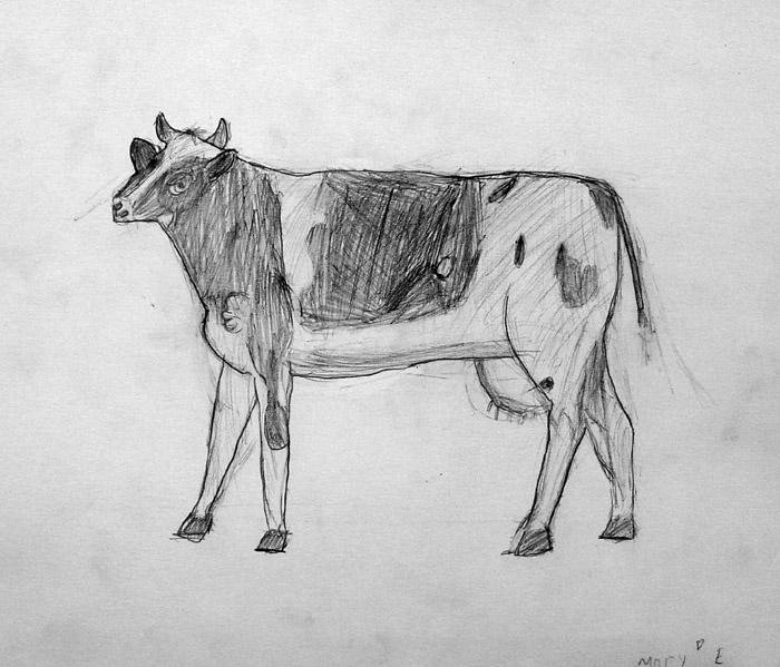 Cow