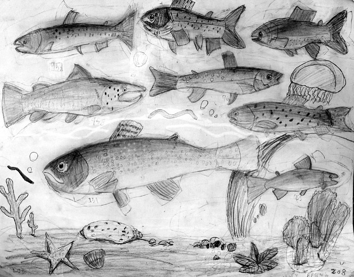Fish