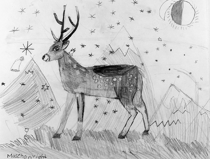 Deer