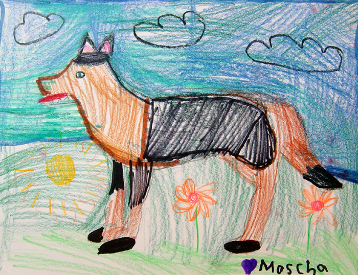 Dog_4