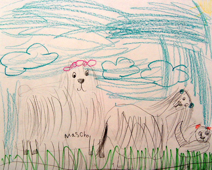 Dogs