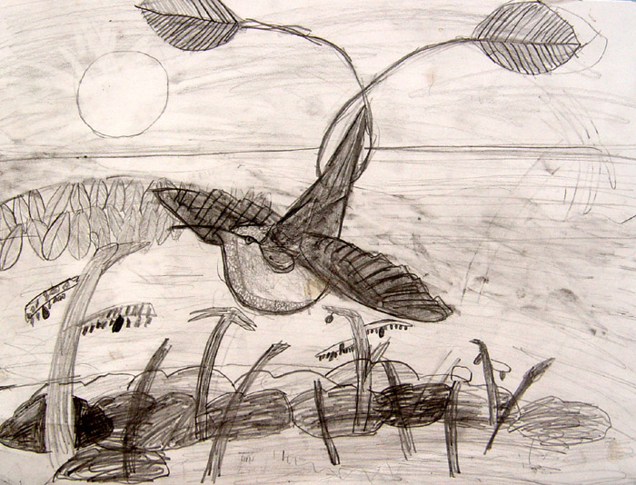 Bird