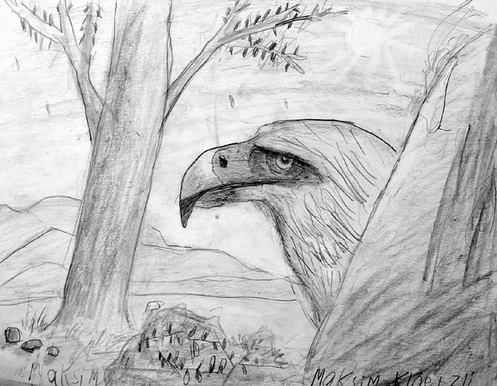 Eagle