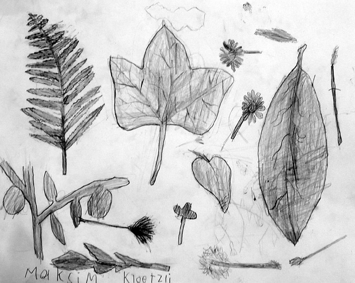 Sketches