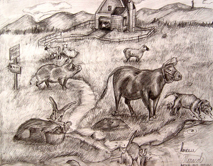 Farm