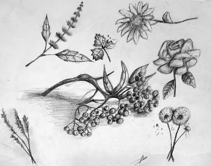 Sketches