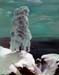 Landscape_3_(study)
