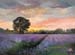 Landscape_5. 12x16_inches. Oil_on_panel