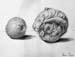 Study_1