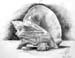 Study_3