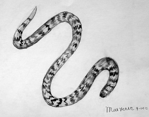 Snake